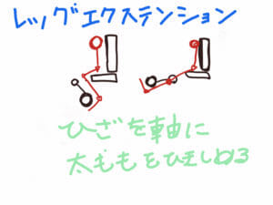 レッグエクステンション